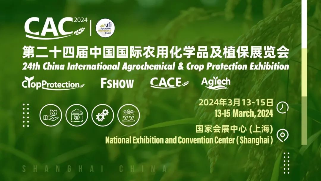 1710811553866402.jpg 640 (3).jpg