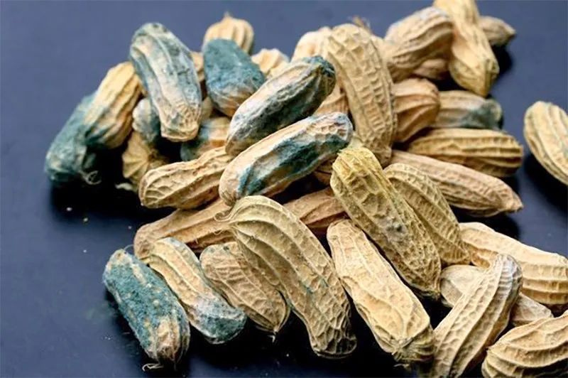 1763950798872034.jpg 1763950798872034.jpg